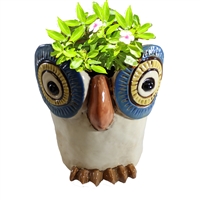 Olinda Owl Ceramic Planter Pot