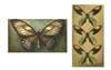 Butterfly Sage Matchbox