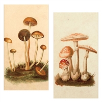 Vintage Mushrooms Matchbox