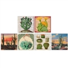 Desert Beauty Square Mini Matchboxes