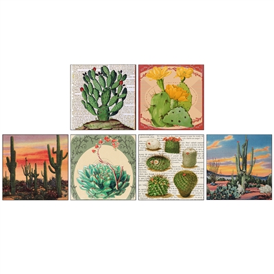 Desert Beauty Square Mini Matchboxes