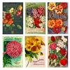 Vintage Seeds Mini Matchbox