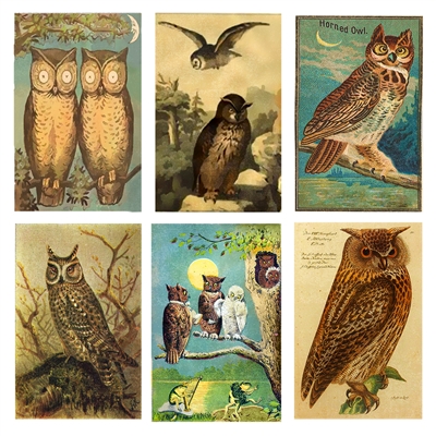 Vintage Owl Scenes Mini Matchbox