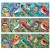 Birds On Parade X-Large Matchbox Asst 24/Pk