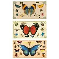 Insect Specimens Large Matchbox Asst 24Pk