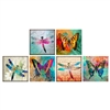 Butterfly & Dragonfly Square Matchbox Asst 60Pk