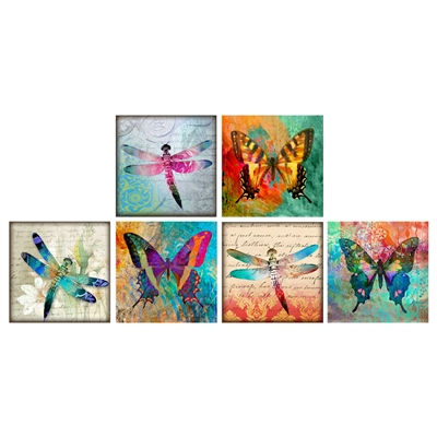 Butterfly & Dragonfly Square Matchbox Asst 60Pk