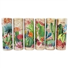 Cactus Garden Tube Matchbox Asst 48Pk