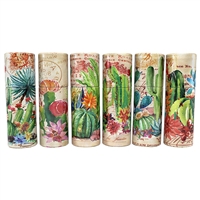 Cactus Garden Tube Matchbox Asst 48Pk