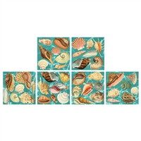 Sea Shells Square Matchbox Asst 60Pk