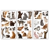 Cats Rule Large Matchbox Asst 24Pk