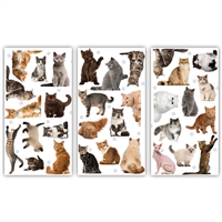 Cats Rule Large Matchbox Asst 24Pk