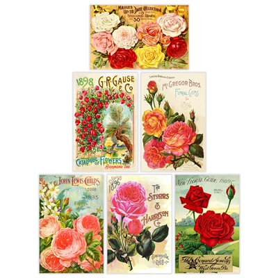 Vintage Rose Label Mini Matchbox