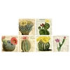 Vintage Cactus Square Matchbox