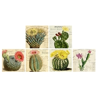 Vintage Cactus Square Matchbox