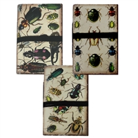 Vintage Bugs  Mini Paper Journal