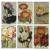 Vintage Water Lillies Mini Paper Journal