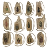 Assorted Wood Beetle Ornaments