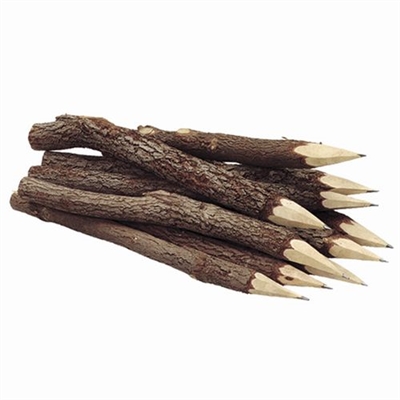 Branch Pencils