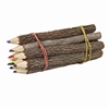 Colored Branch Pencils