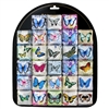 Butterfly Square Magnet Display