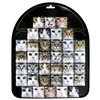 Cat Square Magnet Display