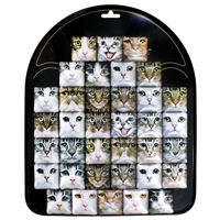 Cat Square Magnet Display