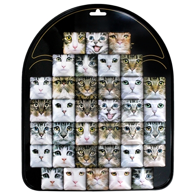 Cat Square Magnet Display