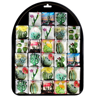 Desert Beauty Cactus Glass Magnets