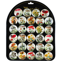 Vintage Mushroom Magnet Display