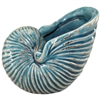 Nautilus Shell Pot