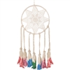 Starbrite Dream Catcher