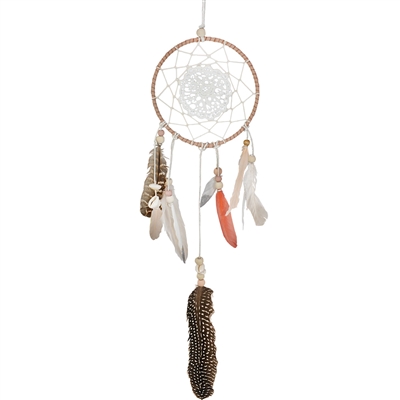 Desert Feather Dream Catcher