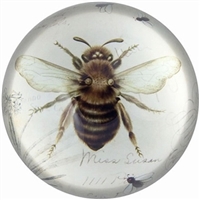 Glass Paperweight Bee Print