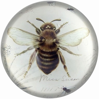 Glass Paperweight Bee Print