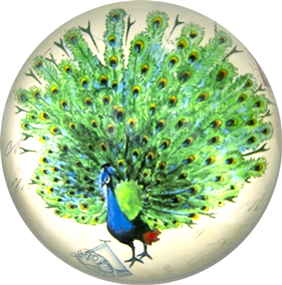 -Proud Peacock Dome Paperweight