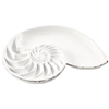 Nautilus Shell Tray