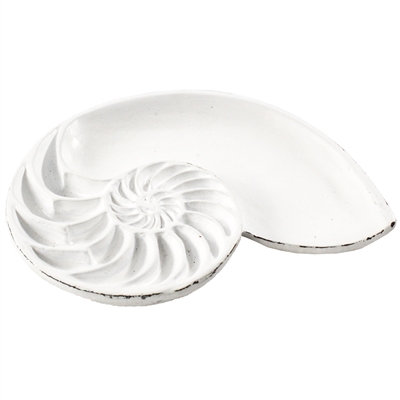 Nautilus Shell Tray