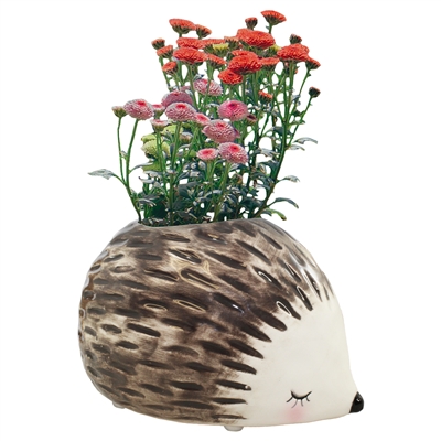 Haley Hedgehog Pot