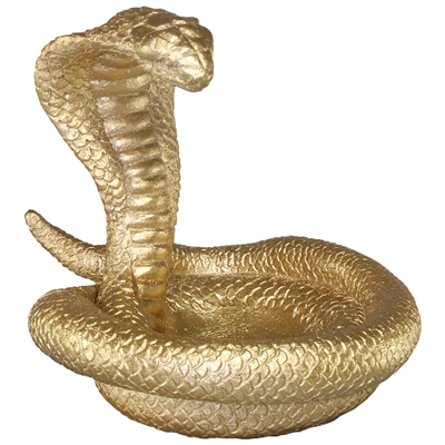 Coiled Cobra Dish