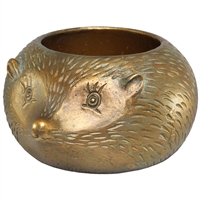 *Hayden Hedgehog Pot