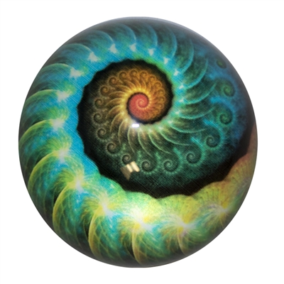 Nautilus Art Glass Paperweight