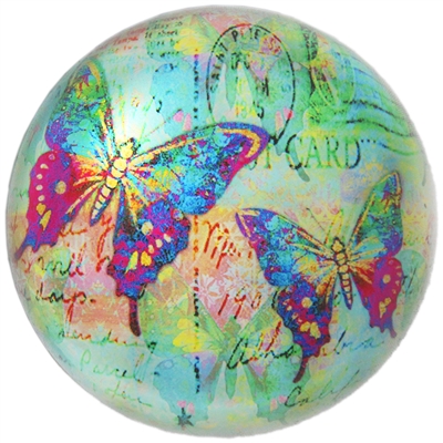 Butterfly Postcard Glass Dome Paperweight