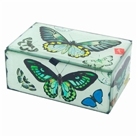 -Butterfly Glass Box