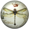 Glass Paperweight Dragonfly