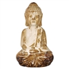 Dhyana Buddha Statue