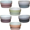 Lakeshore Garden Ceramic Pot& Tray