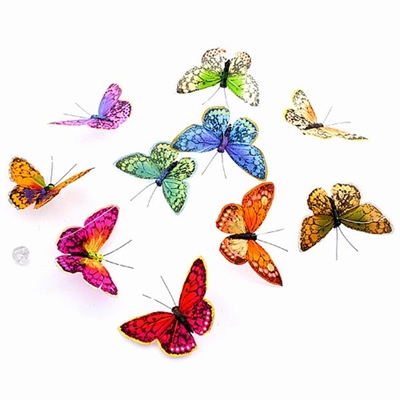 Fall Rainbow Butterfly Garland