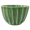 Barrel Cactus Cup Medium