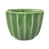 Barrel Cactus Cup Small